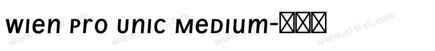 Wien Pro Unic Medium字体转换